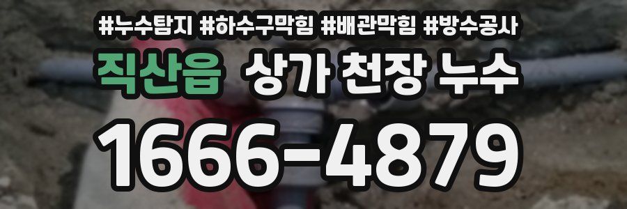 직산읍 상가 천장 누수