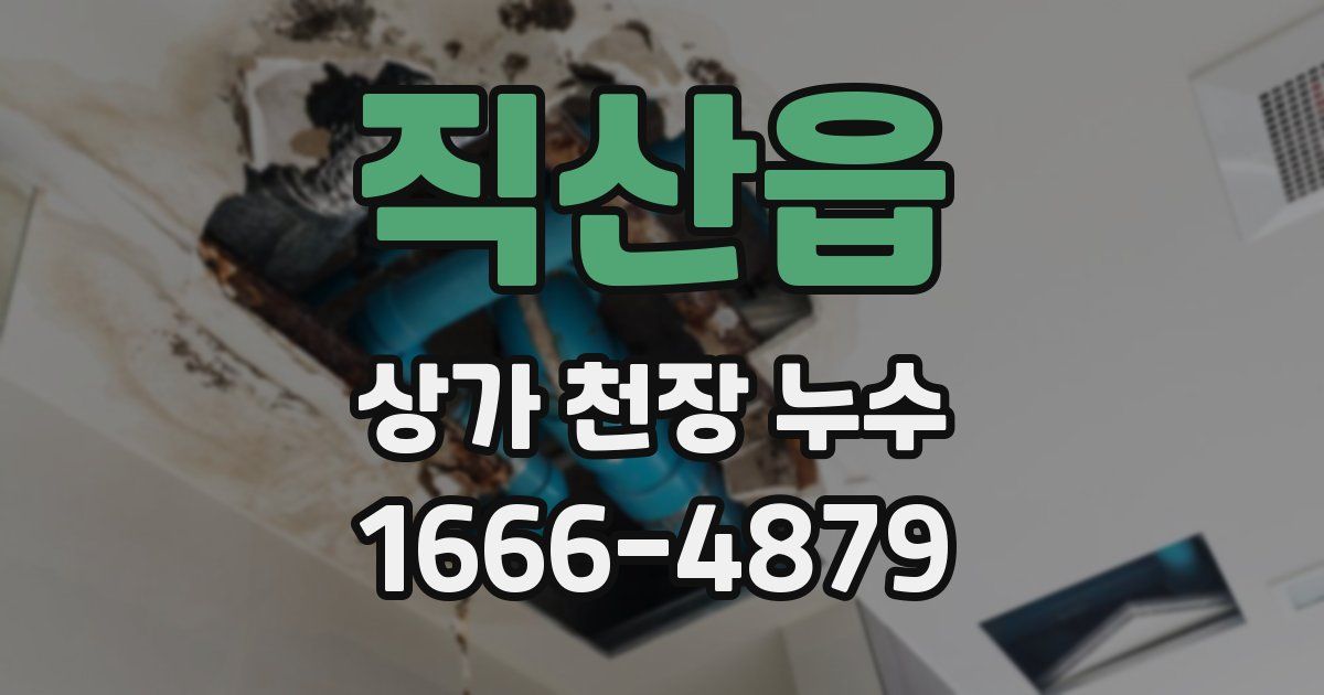 직산읍 상가 천장 누수
