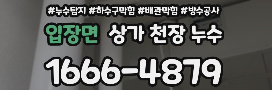 입장면 상가 천장 누수