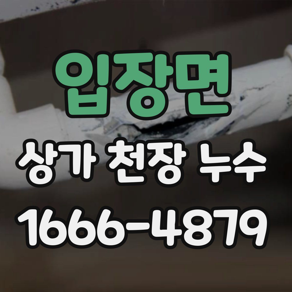 입장면 상가 천장 누수