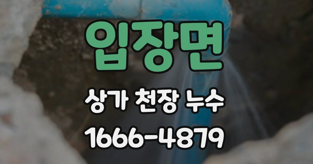 입장면 상가 천장 누수