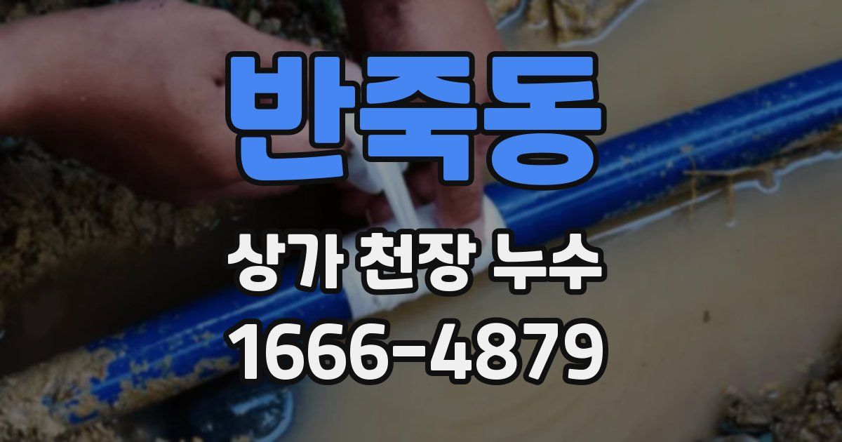 반죽동 상가 천장 누수