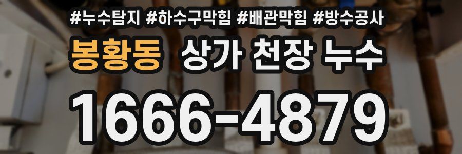 봉황동 상가 천장 누수