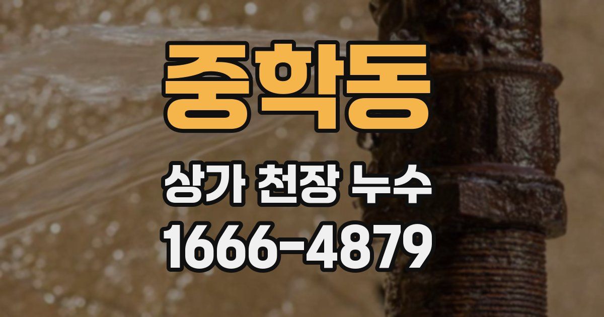 중학동 상가 천장 누수