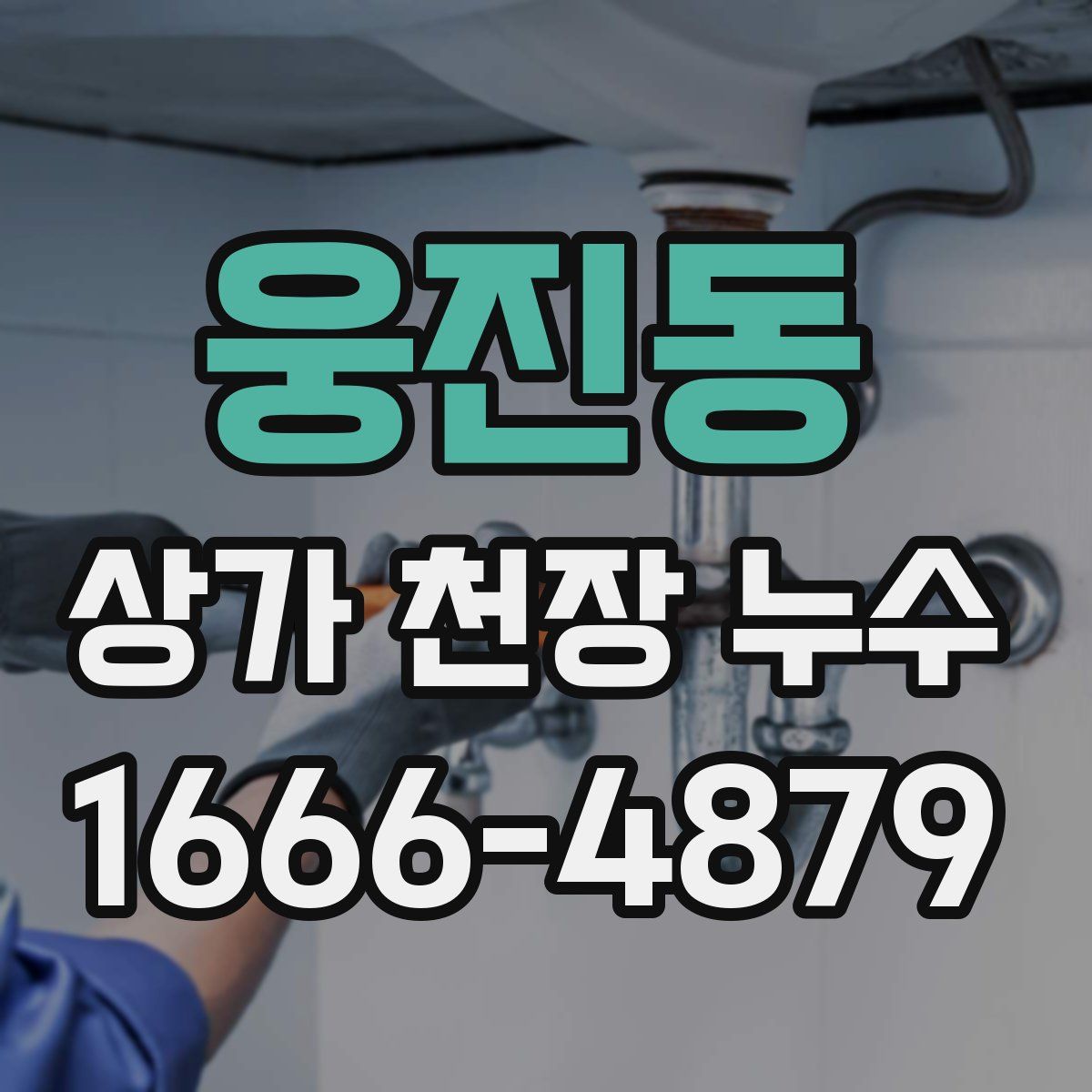 웅진동 상가 천장 누수