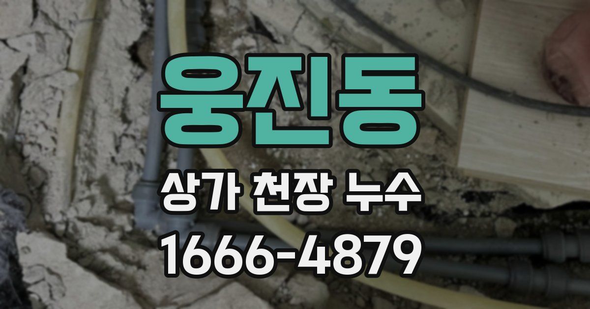 웅진동 상가 천장 누수