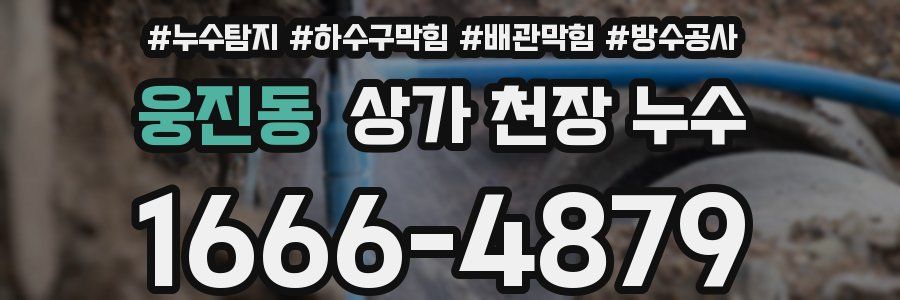 웅진동 상가 천장 누수