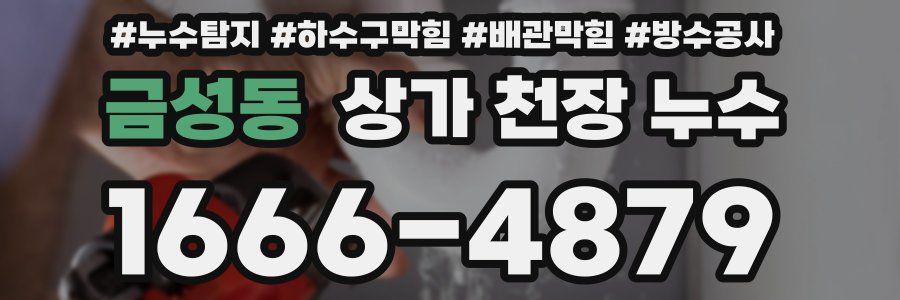 금성동 상가 천장 누수