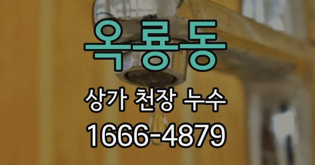 옥룡동 상가 천장 누수