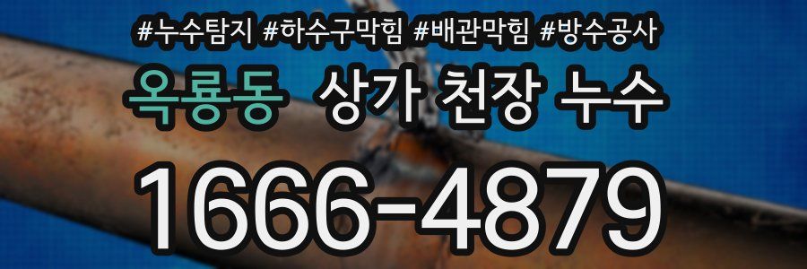 옥룡동 상가 천장 누수