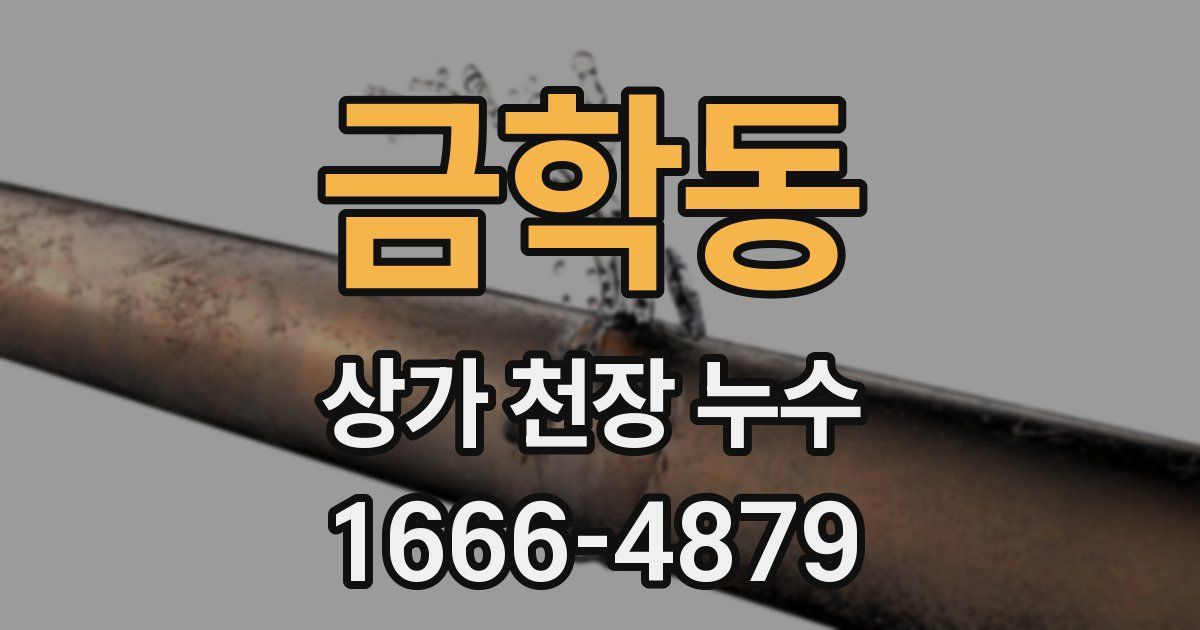 금학동 상가 천장 누수