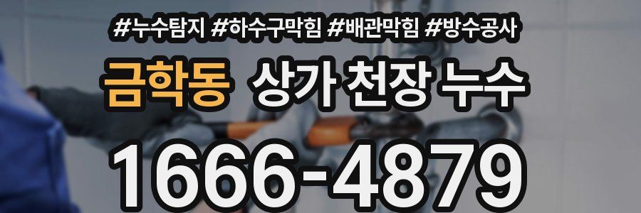 금학동 상가 천장 누수