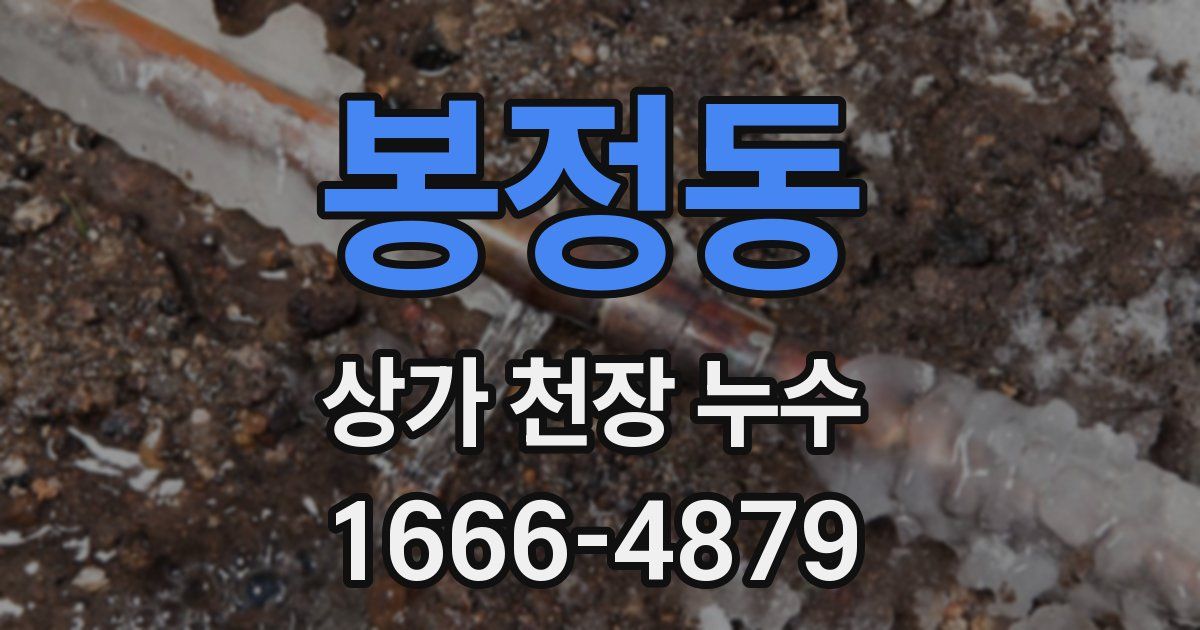 봉정동 상가 천장 누수