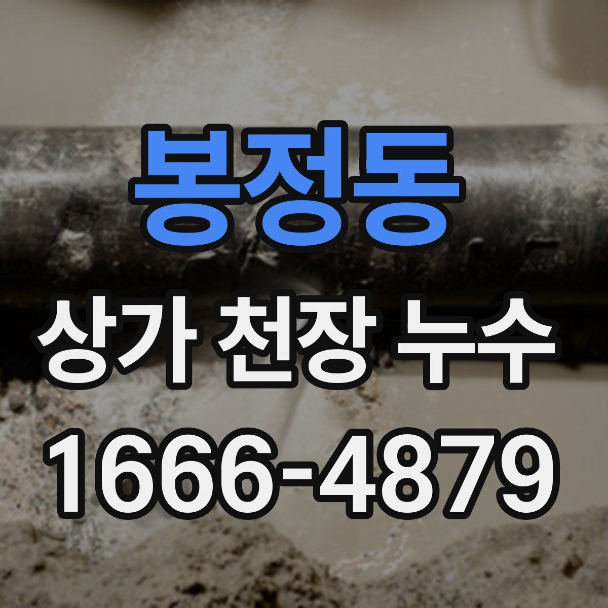 봉정동 상가 천장 누수