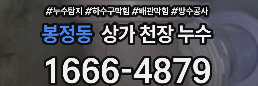 봉정동 상가 천장 누수