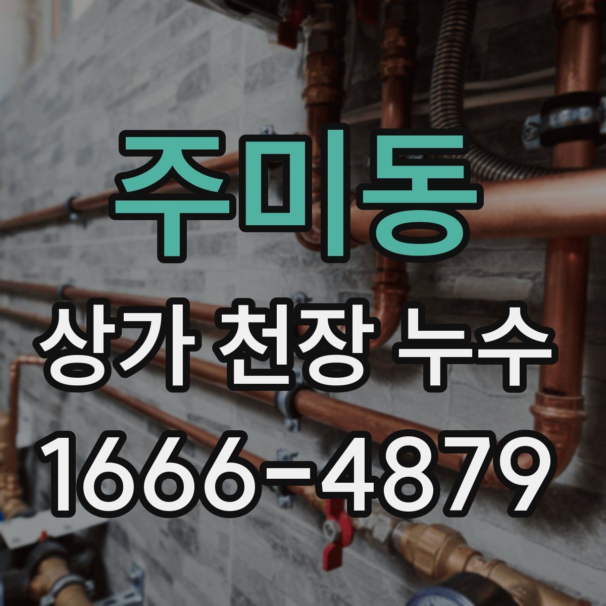 주미동 상가 천장 누수