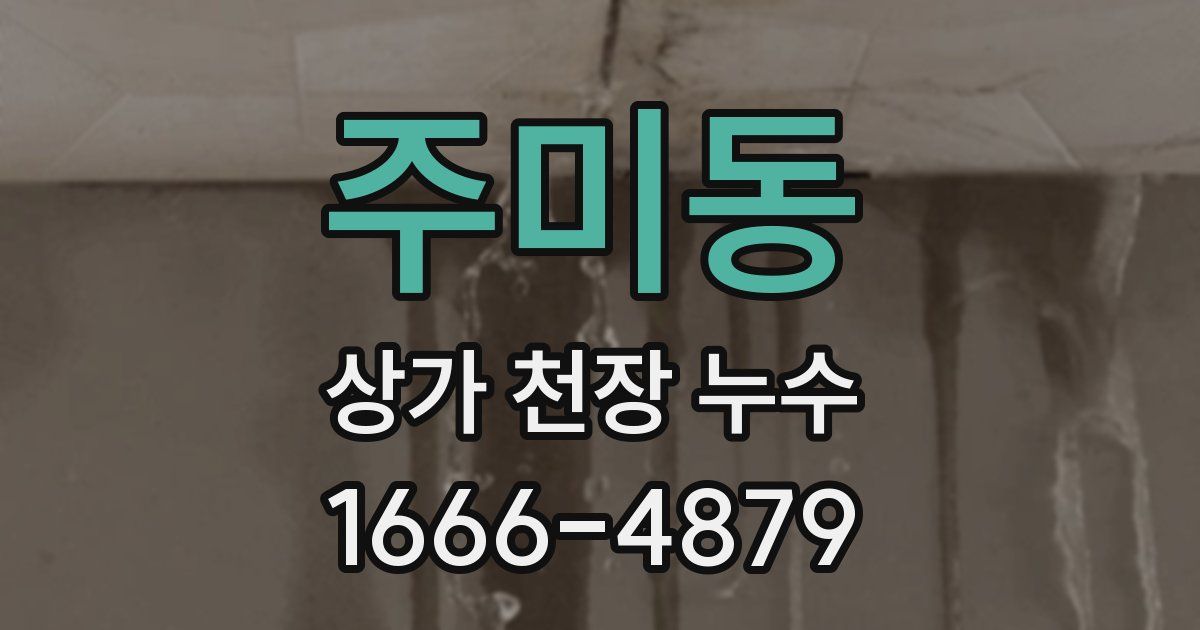 주미동 상가 천장 누수