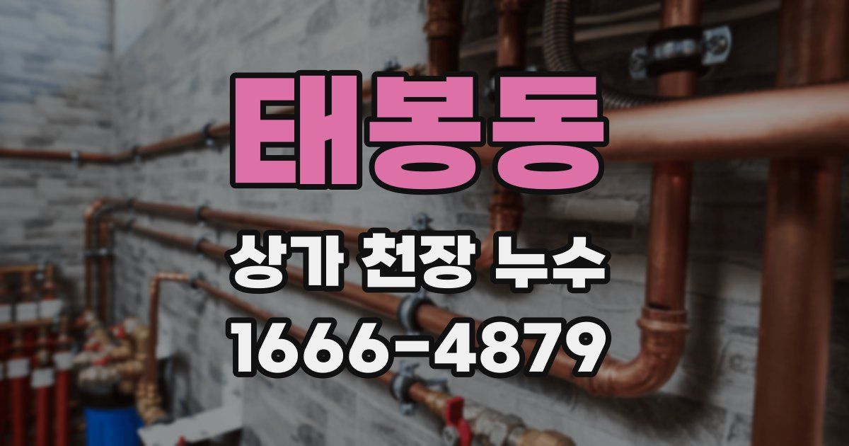 태봉동 상가 천장 누수