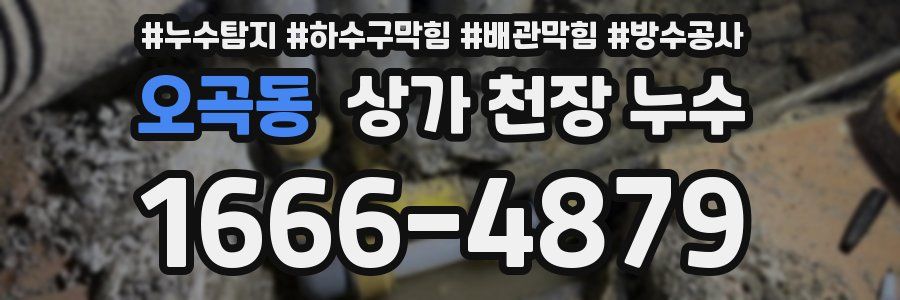 오곡동 상가 천장 누수