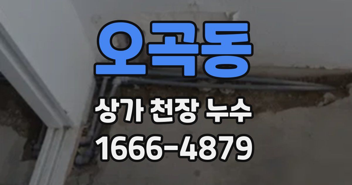 오곡동 상가 천장 누수