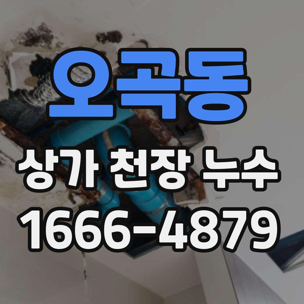 오곡동 상가 천장 누수
