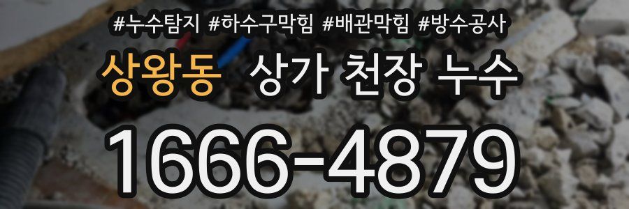 상왕동 상가 천장 누수