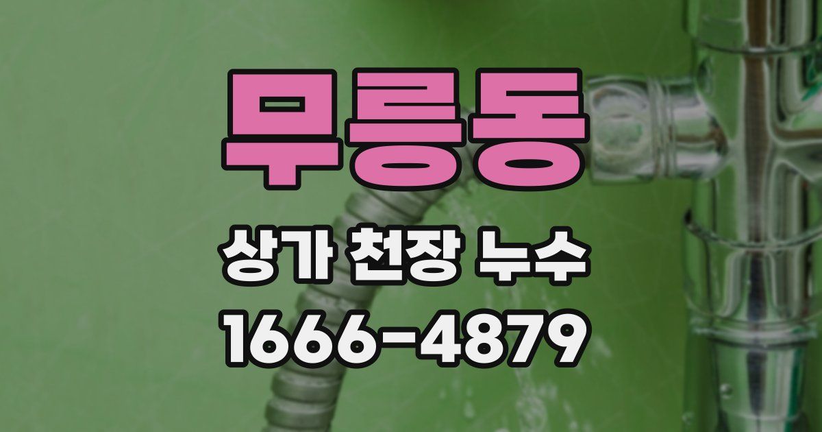 무릉동 상가 천장 누수