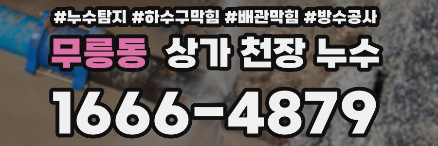 무릉동 상가 천장 누수