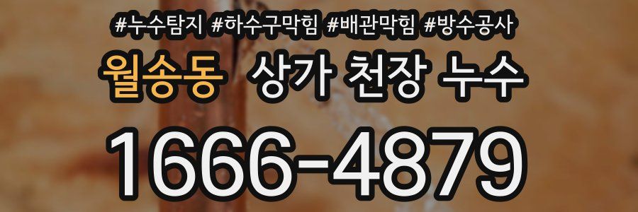 월송동 상가 천장 누수