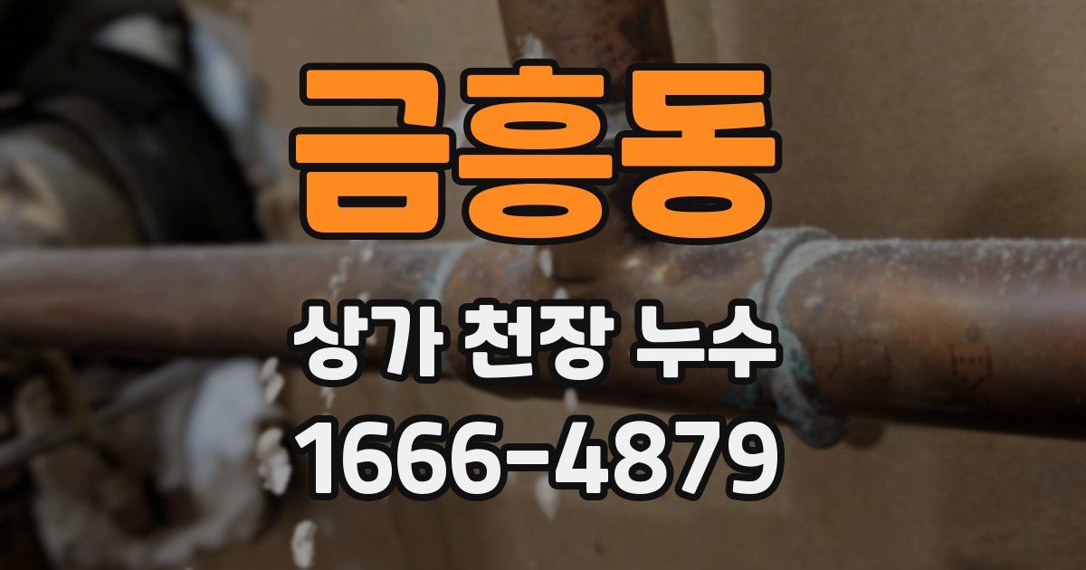 금흥동 상가 천장 누수