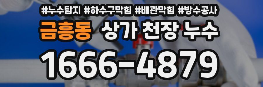 금흥동 상가 천장 누수