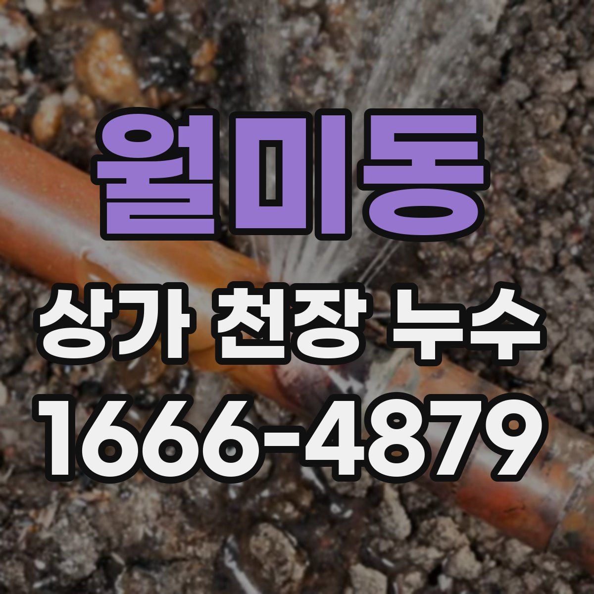월미동 상가 천장 누수