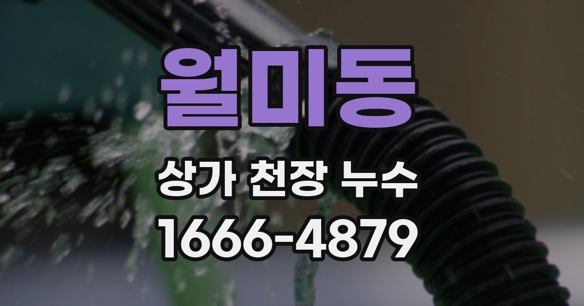 월미동 상가 천장 누수