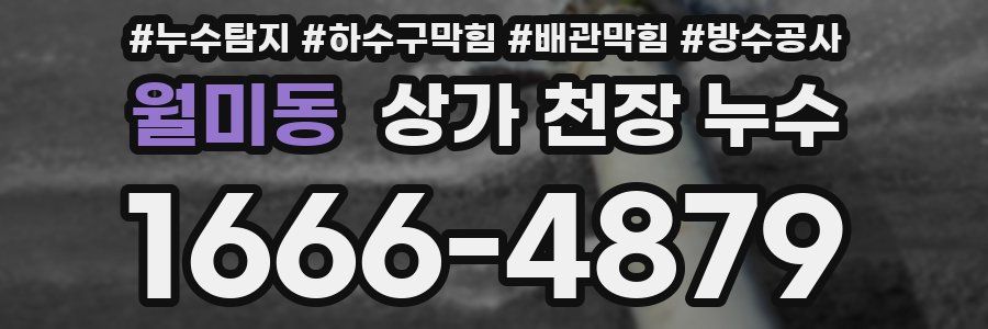 월미동 상가 천장 누수