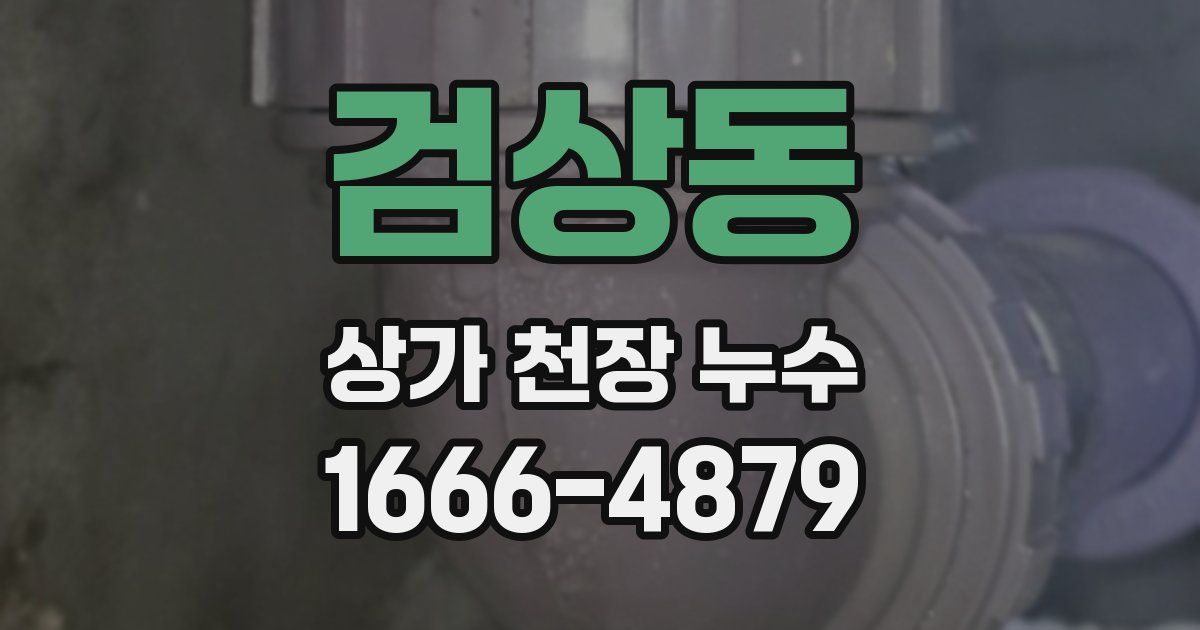 검상동 상가 천장 누수
