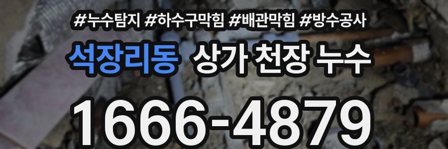 석장리동 상가 천장 누수
