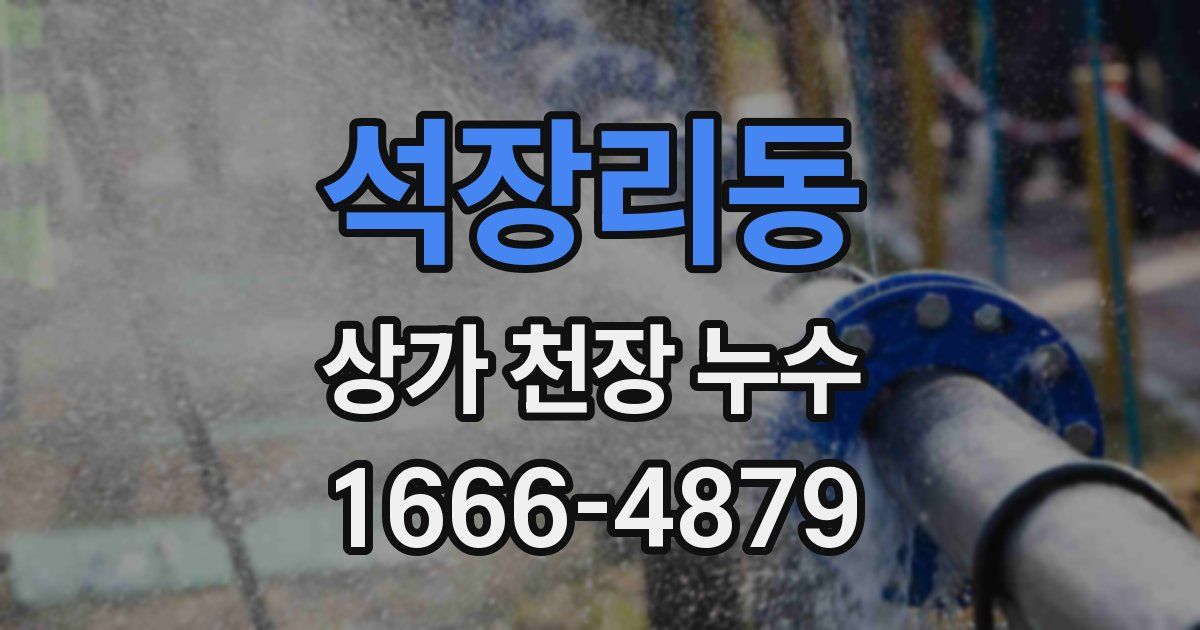 석장리동 상가 천장 누수