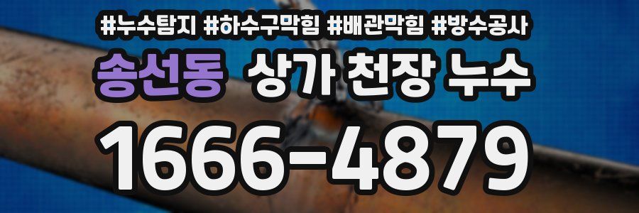송선동 상가 천장 누수