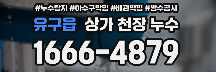 유구읍 상가 천장 누수