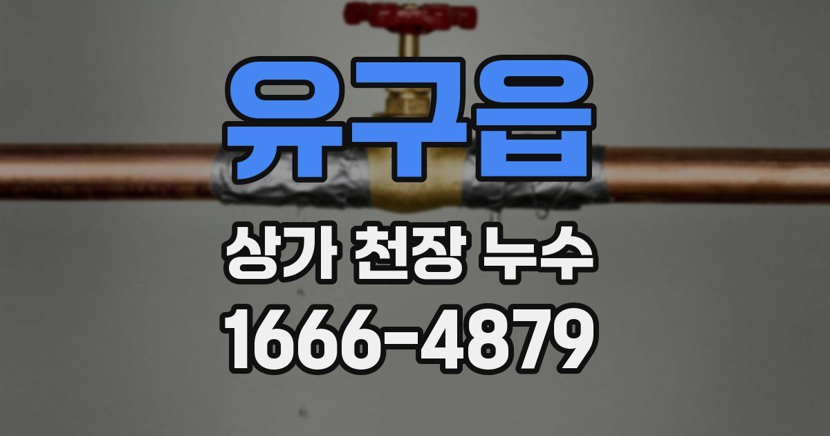 유구읍 상가 천장 누수