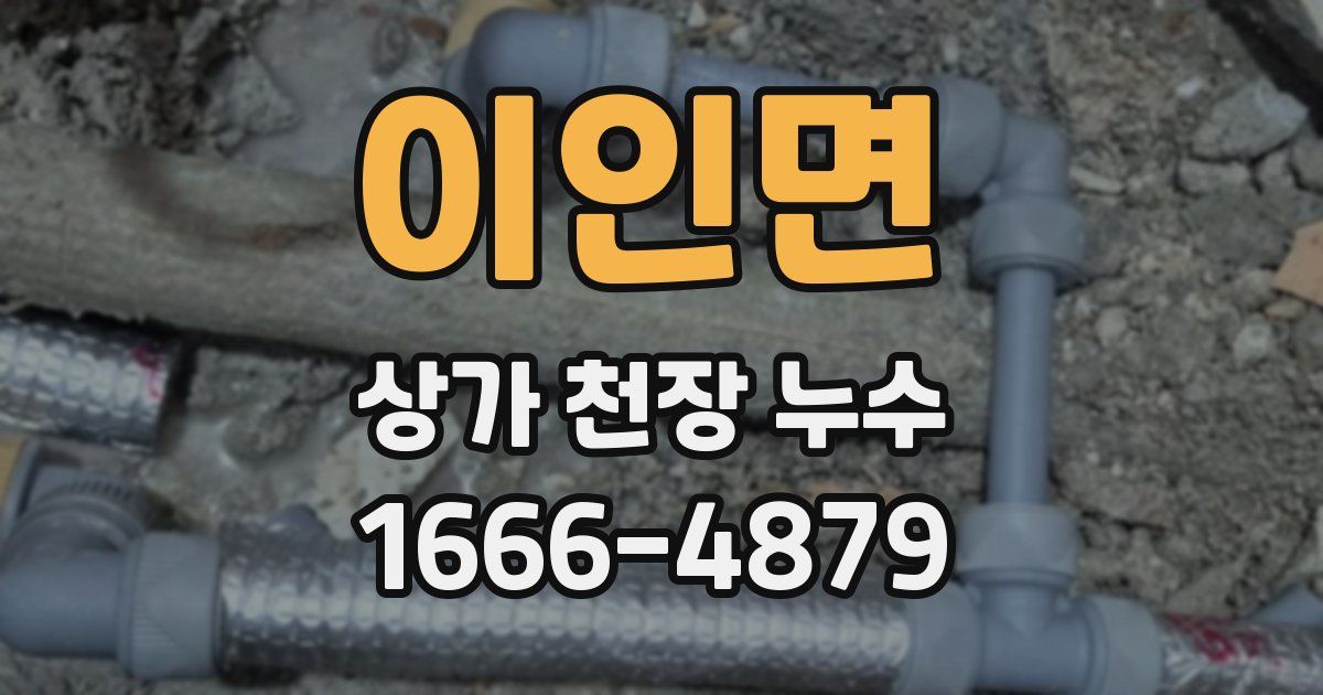 이인면 상가 천장 누수