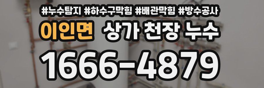이인면 상가 천장 누수