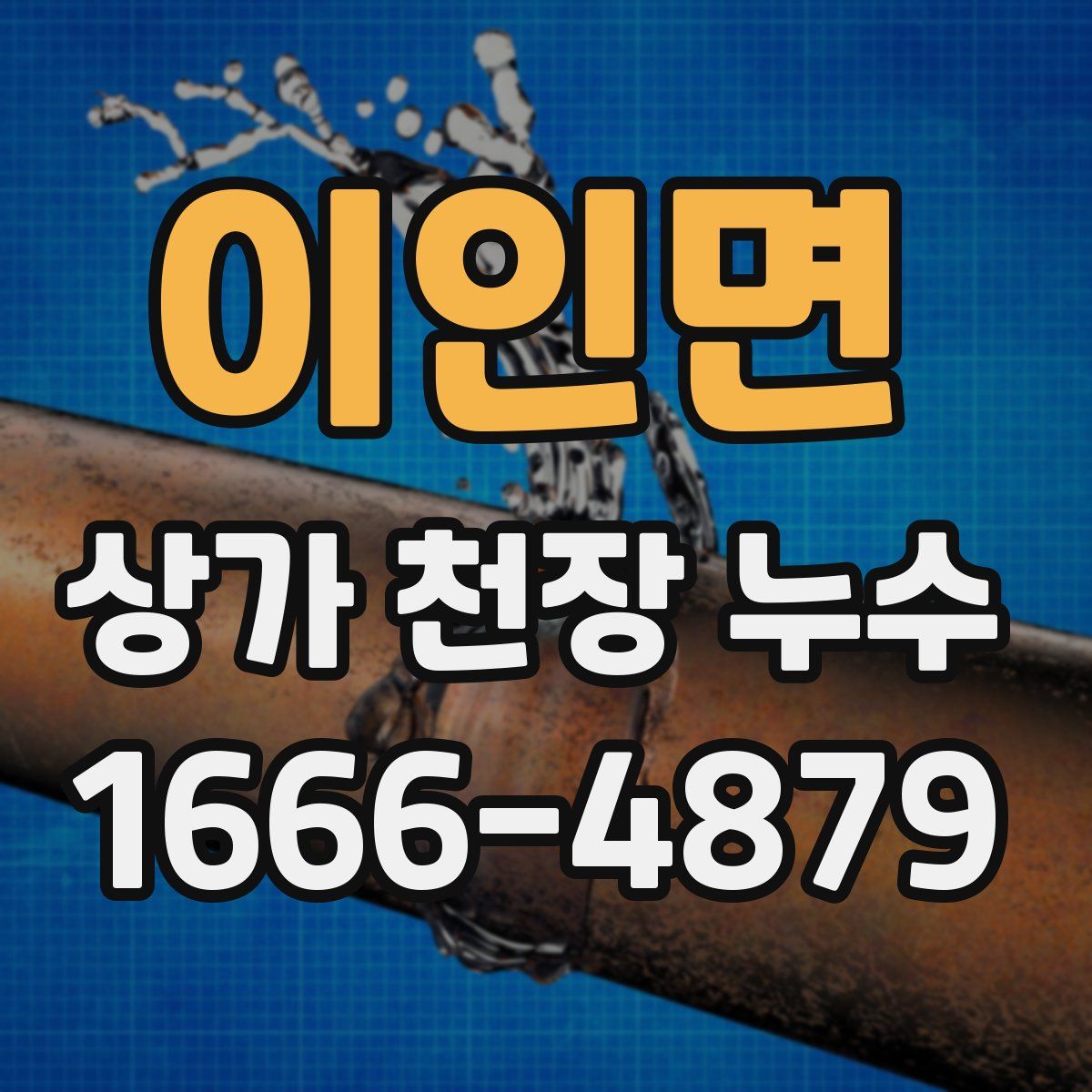 이인면 상가 천장 누수