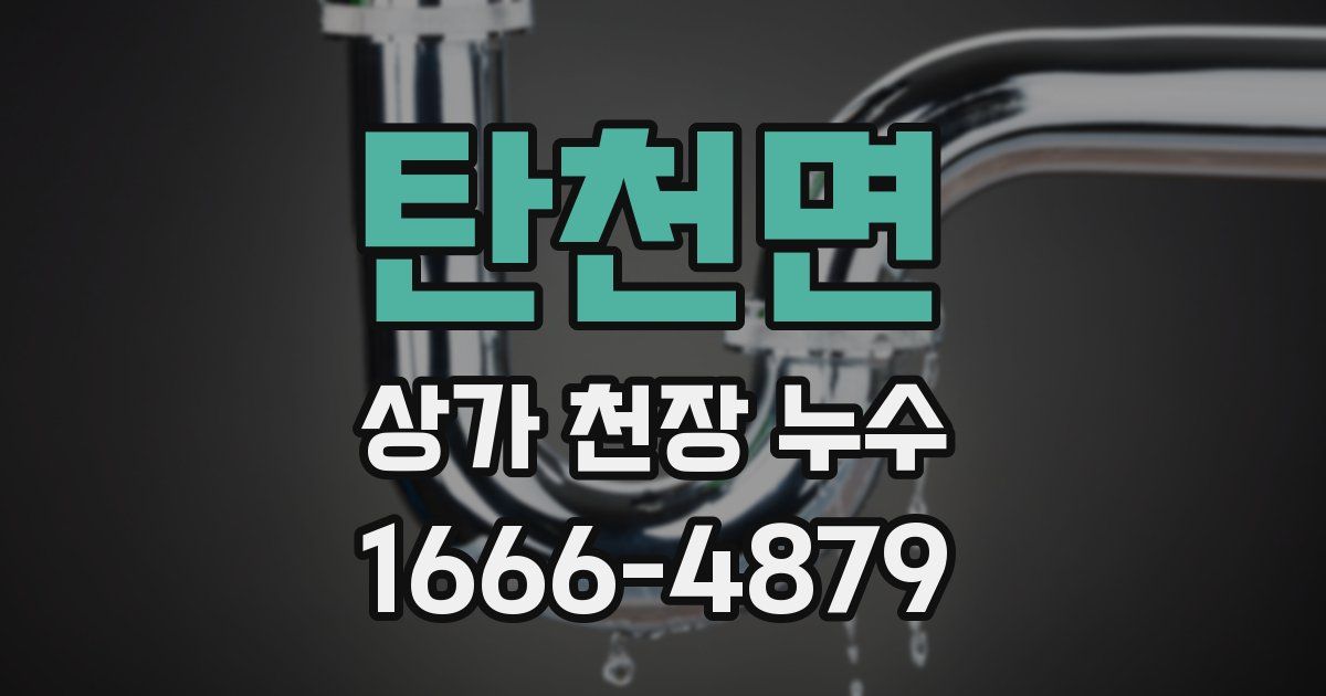 탄천면 상가 천장 누수