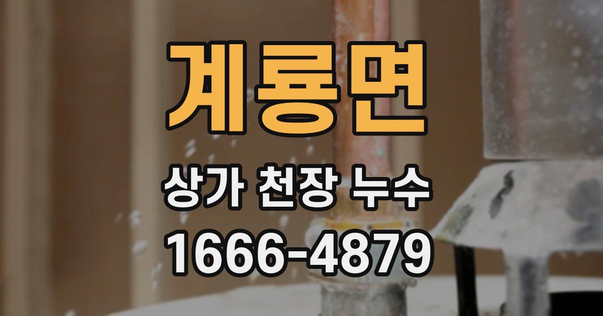 계룡면 상가 천장 누수