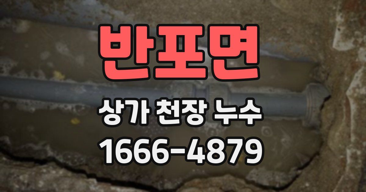 반포면 상가 천장 누수