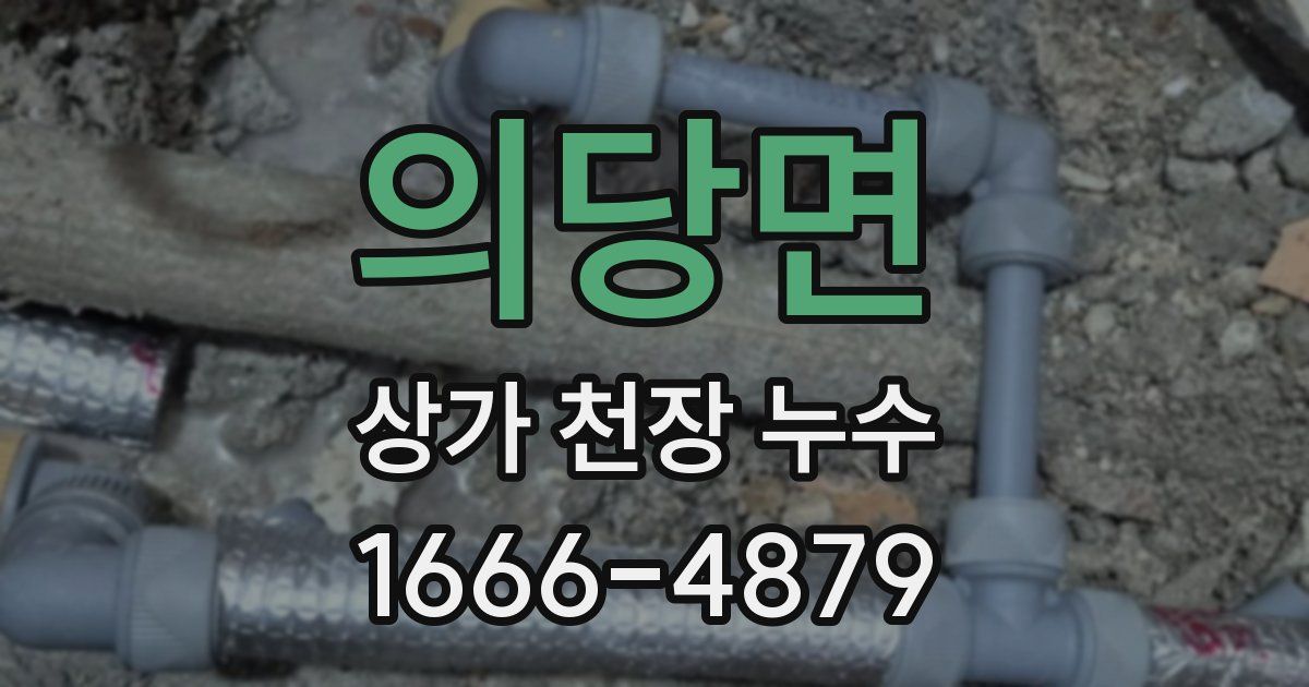의당면 상가 천장 누수