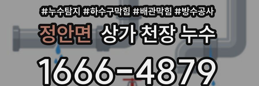 정안면 상가 천장 누수