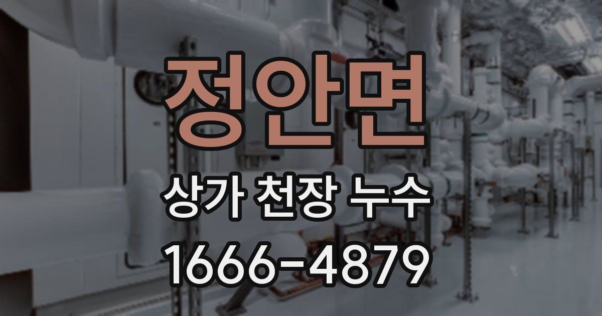 정안면 상가 천장 누수