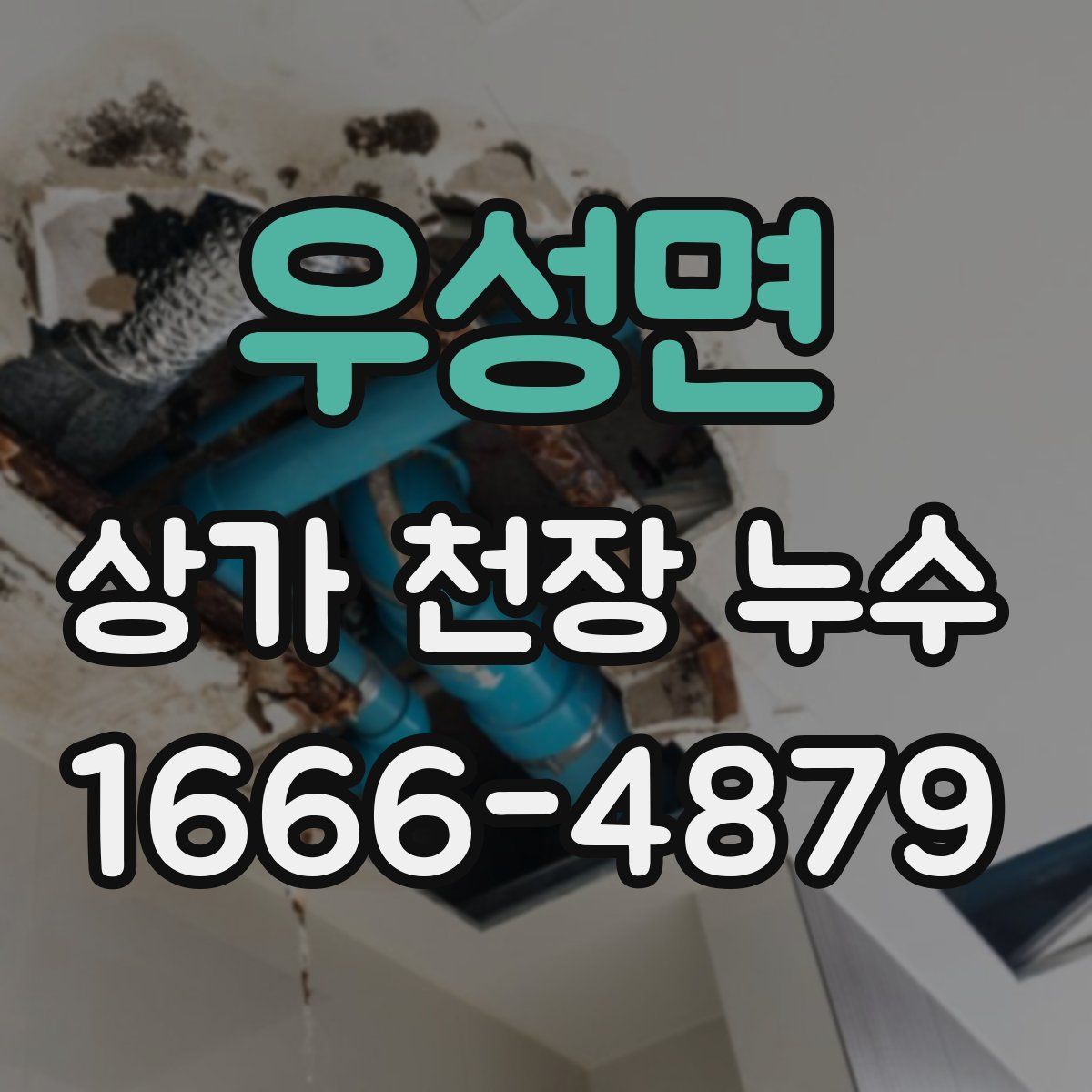 우성면 상가 천장 누수